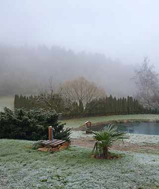 Beseeltes Leben See im Winter Bayerfeld